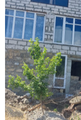 Продается  новый дом с. Дачное. Дачне - фото 6