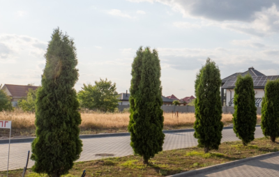 Продаж земельної ділянки 5 соток на ул. Массив 21, 6 Лиманка