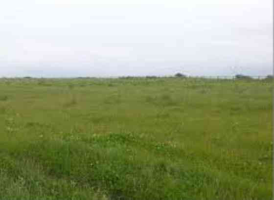 Продаж земельної ділянки на Генерала Петрова, 63 Odessa