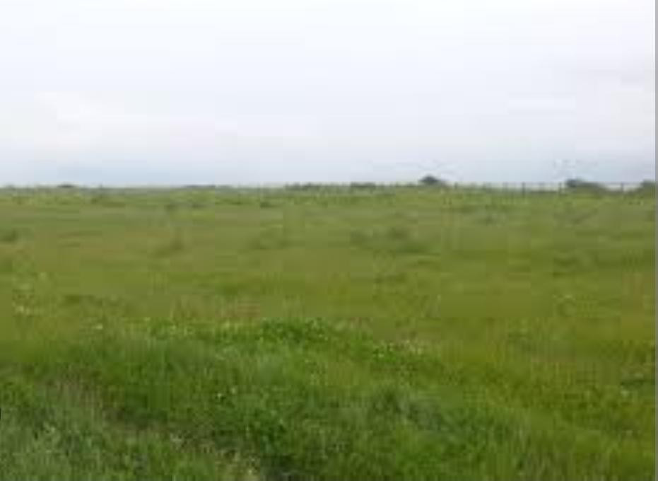 Продаж земельної ділянки на Генерала Петрова, 63 Одеса - фото 4