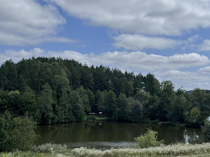 Продаж земельної ділянки — Яворівський район Pidstavky - photo 9