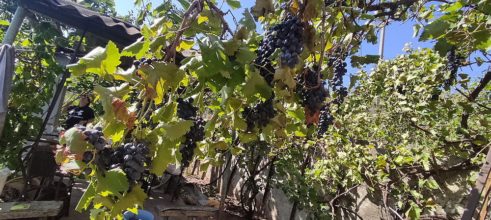 Продается дом с.  Нерубайское с видом на лиман. Нерубайське - фото 16