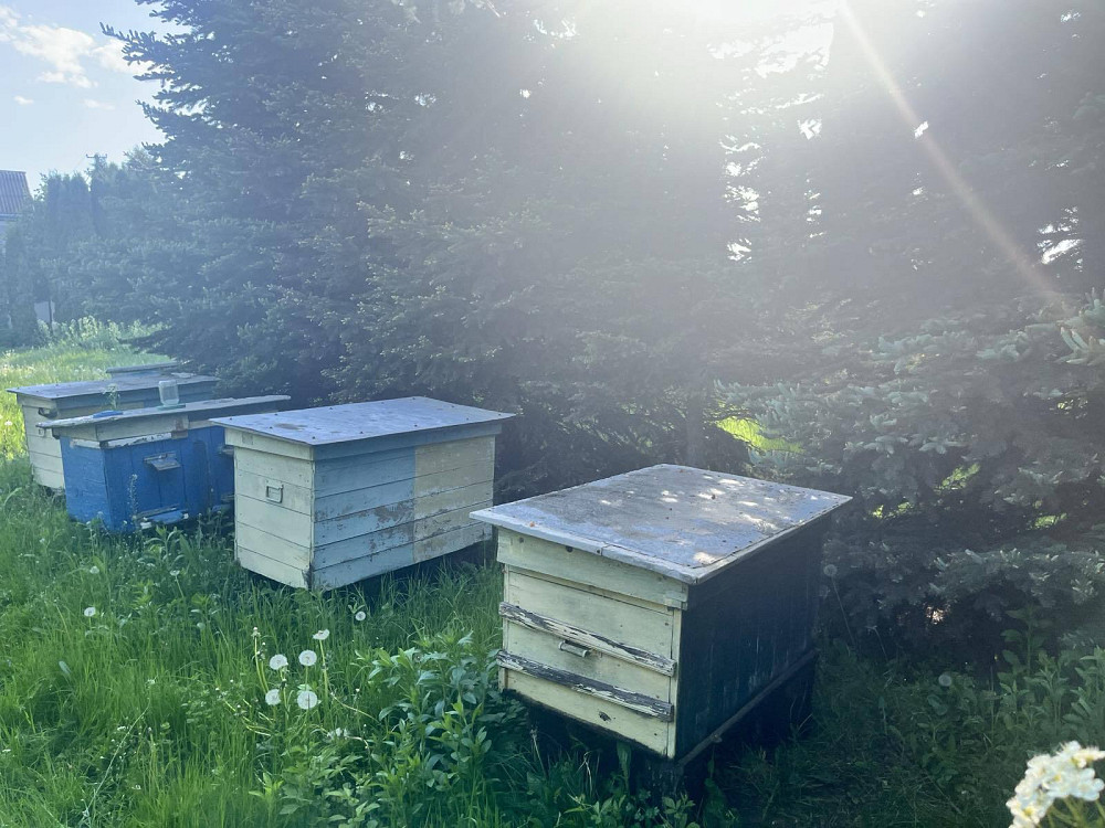 Без комісії!!!Продається будинок з власним озерцем поблизу Тернополя  - фото 3