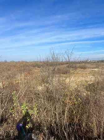 Продаж земельної ділянки 25 соток Ivano-Frankivs'k