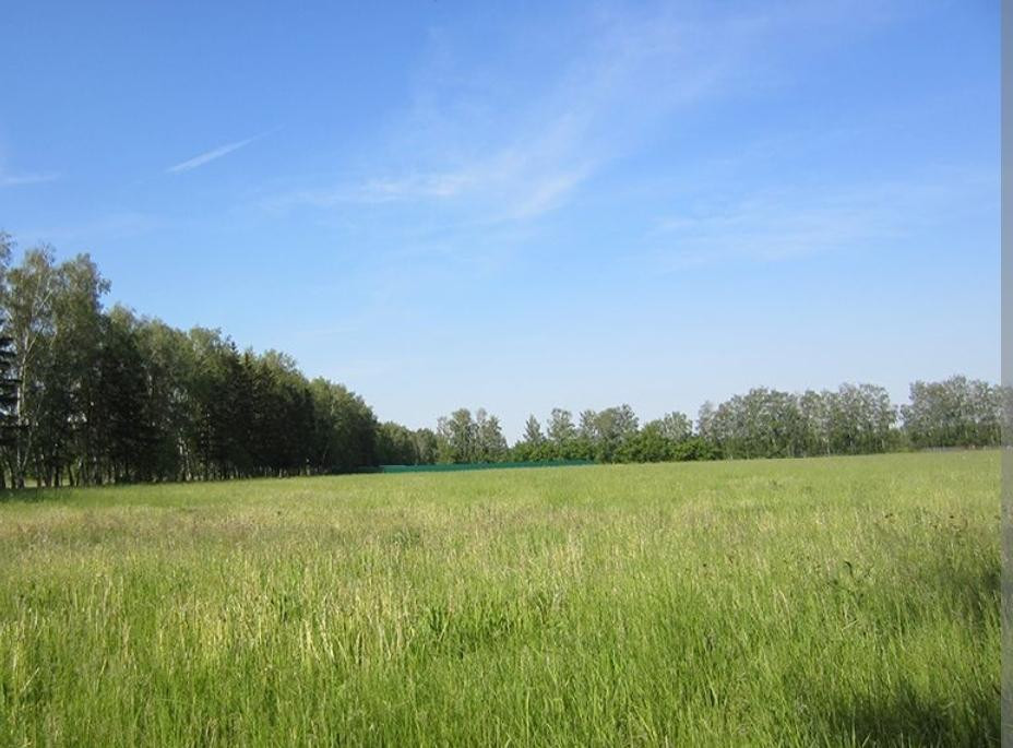 Продаж земельної ділянки на Генерала Петрова, 63 Одеса - фото 1