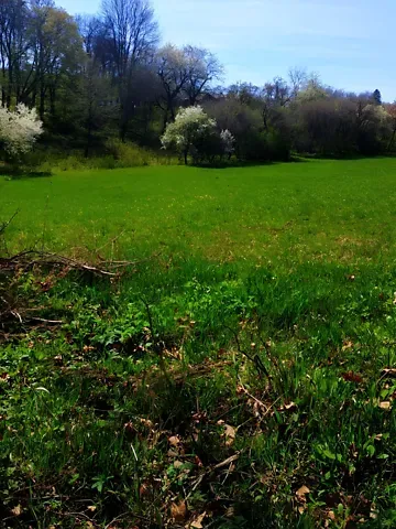 For sale land plot  area 18 ares Івана Франка бічна вулиця  - photo 4