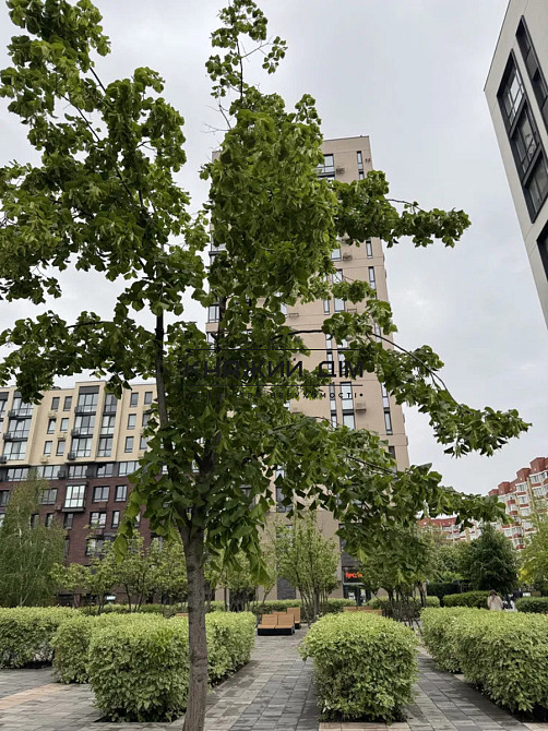 Продаж 1-но к. квартири в ЖК Файна Таун м. Нивки. № 21146724 Київ - фото 14