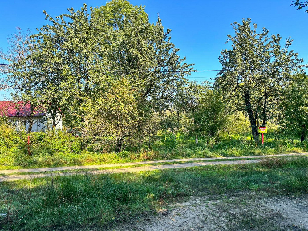Продаж земельної ділянки 23 соток на вул. Лісова  - фото 14