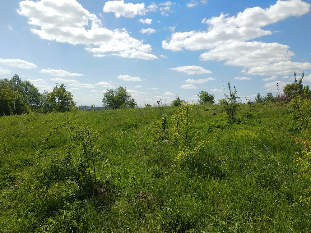 Продаж земельної ділянки 16 соток на Урочище Над Гумнищем  - photo 4