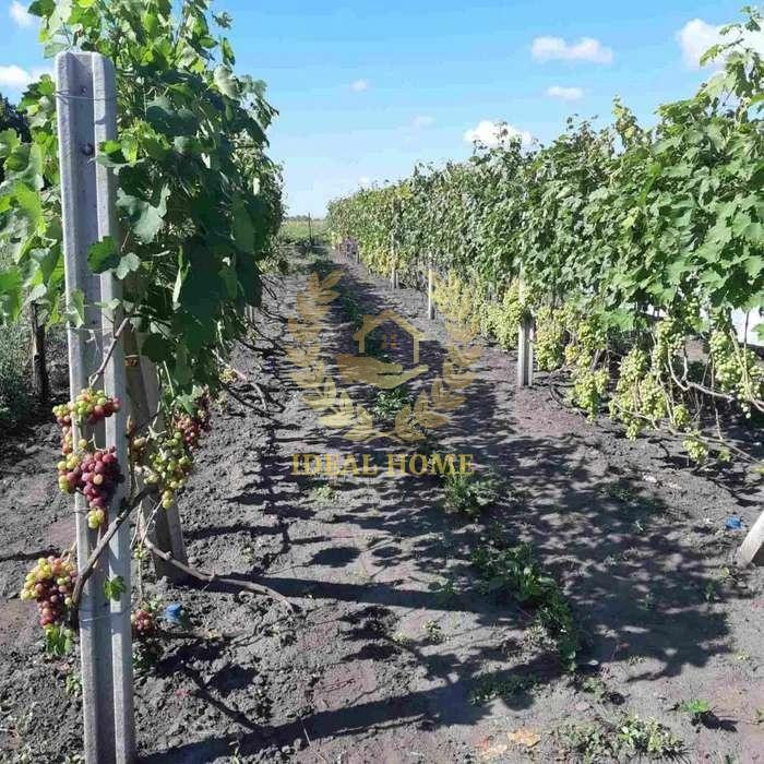 Продам квартиру 2 кімнати в Паляниченцях з удобствами.  - фото 2