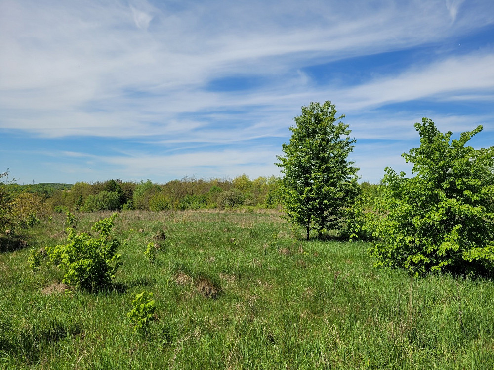 Продаж земельної ділянки 25 соток на Лесі Українки Kolodiivka - photo 1