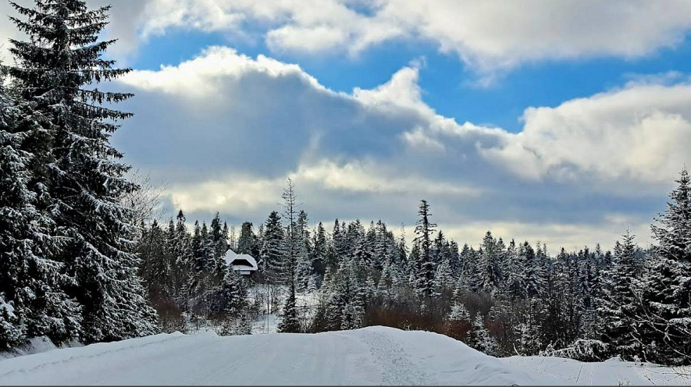 Продаж земельної ділянки 6 соток на вул. Лісна Орявчик - фото 4