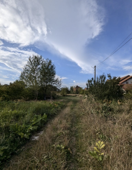 Продаж земельної ділянки 12 соток на Затишок  - photo 3