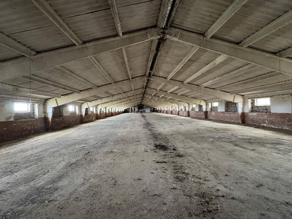 Оренда приміщення вільного призначення на вул. Шевченка поверх - 1/1  - фото 4