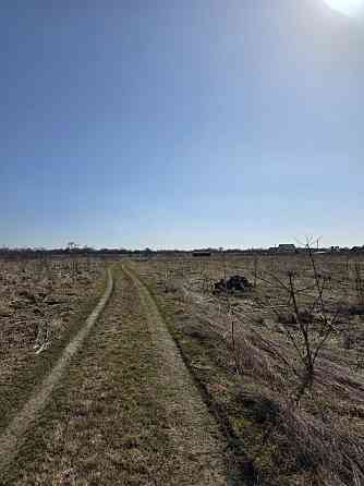 Продаж земельної ділянки 10 соток Пидлисся