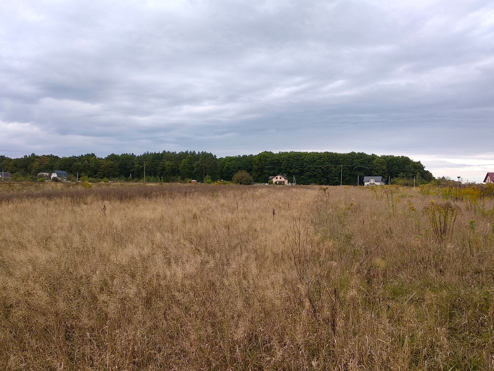 Продаж земельної ділянки 41.6 соток Pavlivka - photo 1