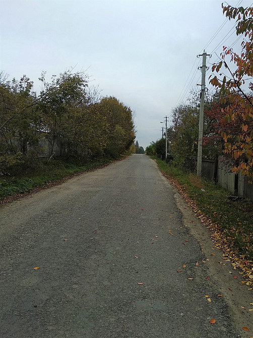 Продаж земельної ділянки 25 соток Олеша - фото 8