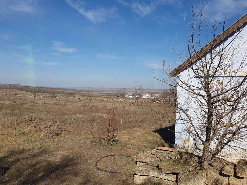 Дом в Ковалевке с уникальным винным  погребом (1905 г.) Ковалівка - фото 14