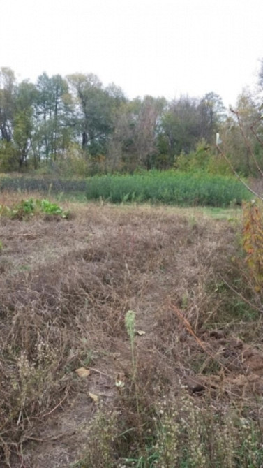 Продаж земельної ділянки 18 соток Вороньківка - фото 3