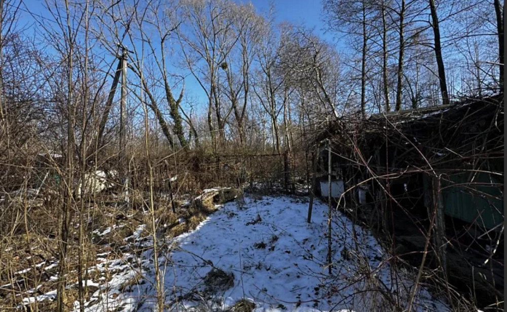 Продаж земельної ділянки 4.79 соток Zhyrivka - photo 5