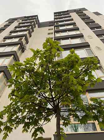 Продаж Квартира 1-кімнатна, 8/10 поверх на Волошина А. вул., 2 Івано-Франківськ