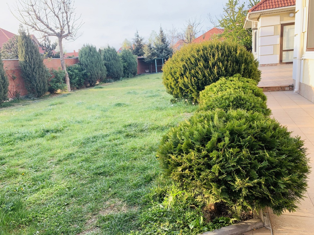 Продаж Будинок Odessa - photo 12