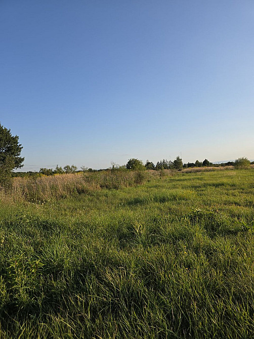 Продаж земельної ділянки земельна ділянка Підлісся - фото 14