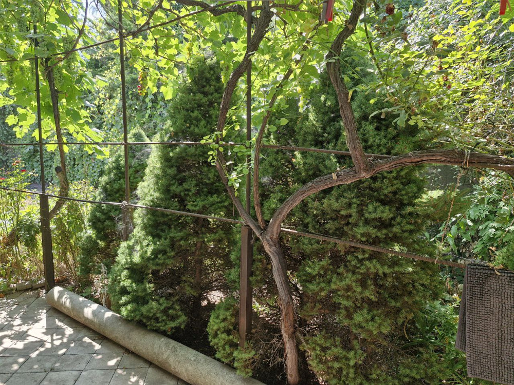 Дом в Суворовском районе (рядом Слободка и Усатово) Одесса - изображение 15