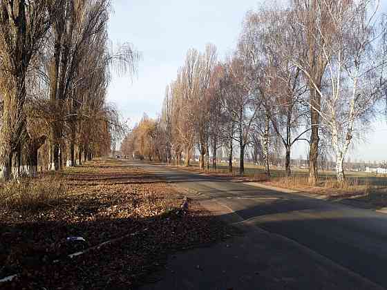 Оренда земельної ділянки 1 га на улица Выставочная, д. 