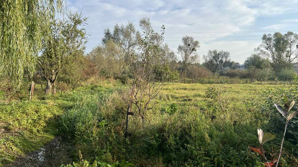 Продаж земельної ділянки 16 соток на вул. Галицька Бібрка - фото 5