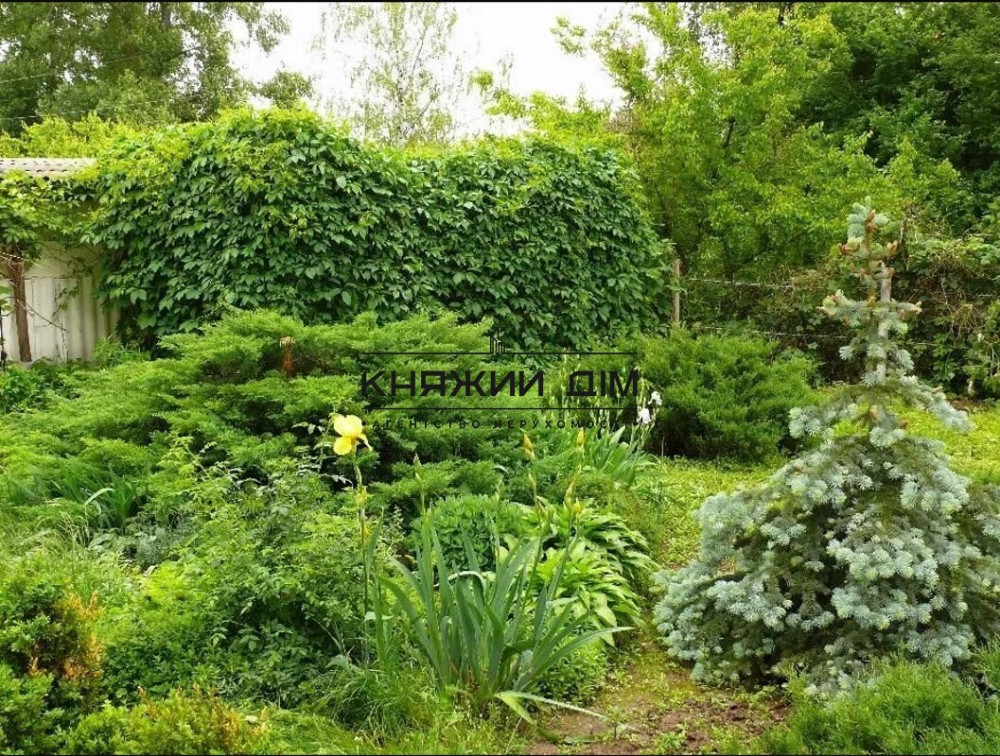 Продажа 3-х эт. дома с. Петровское. Бориспольский р-н. Код объекта 227155  - фото 3