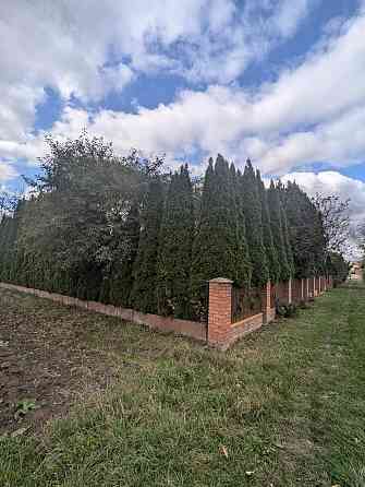 Продаж Будинок на Слобідська Одаї