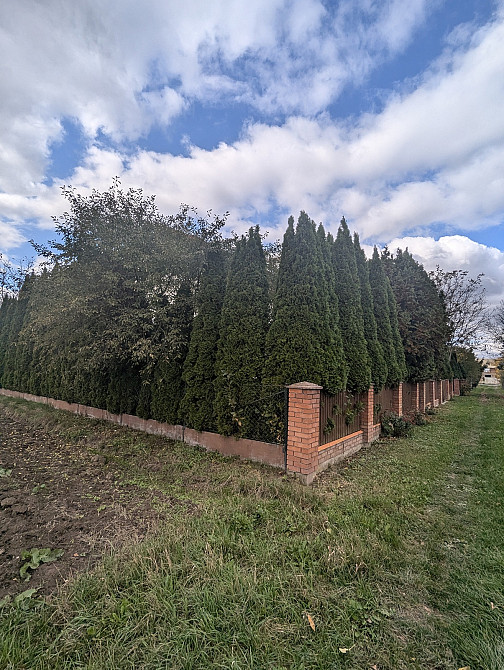 Продаж Будинок на Слобідська Одаї - фото 5