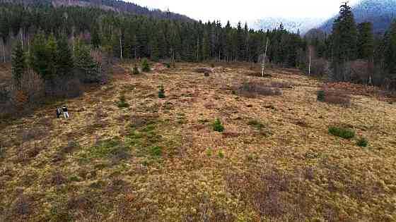 Продаж земельної ділянки 59 соток Гребенов