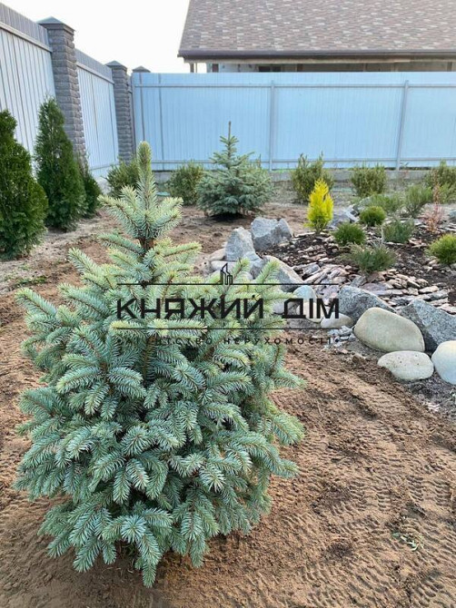 БЕЗ КОМІСІЇ! Продаж будинку 250 м2, 25 сотки, с. Здвижівка, Бучанський р-н, 35 км від Києва. № 2211779  - фото 6