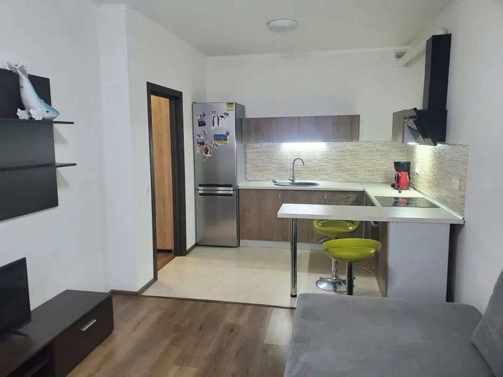 Оренда Квартира 1-кімнатна, 19/25 поверх на ул. Елены Пчилки, 7 Київ - фото 2