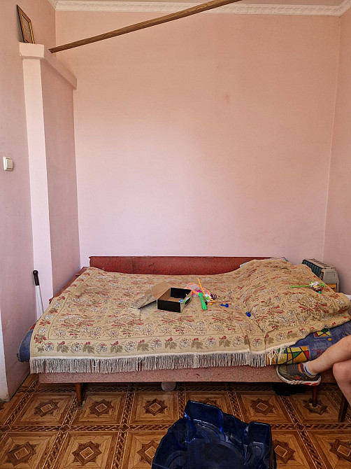 Продам дом-дачу на берегу Аджалыкского лимана в Новой Дофиновке (СТ "Пищевик) Нова Дофінівка - фото 13