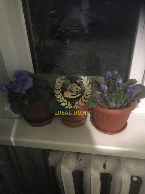 Продам затишний дерев'яний будинок, Касне Червоне (Васильківський район) - фото 3