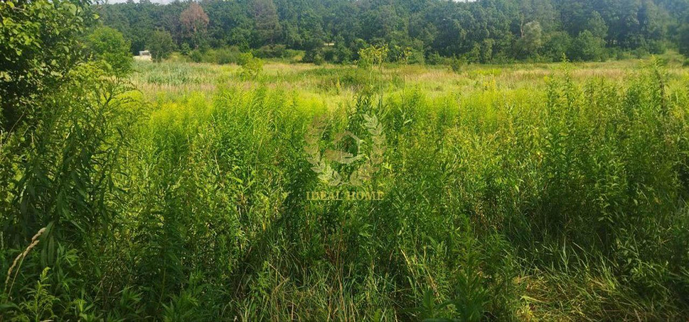 Продаж земельної ділянки 10 соток  - фото 7