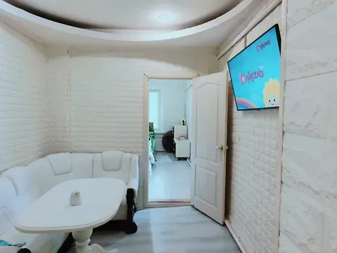 Продажа 2к Квартира 26.1 кв.м Декабристів (Центр) вулиця 31 Николаев - изображение 2