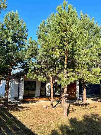 Продаж будинку 100м2 в соснах с.Северинівка № 1152005 Северинівка (Макарівський район)