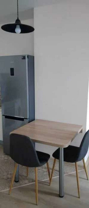 Оренда Квартира 1-кімнатна, 12/21 поверх на ул. Коперника Київ - фото 2