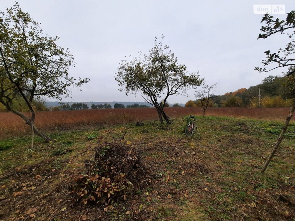 Продаж земельної ділянки 40 соток  - фото 18