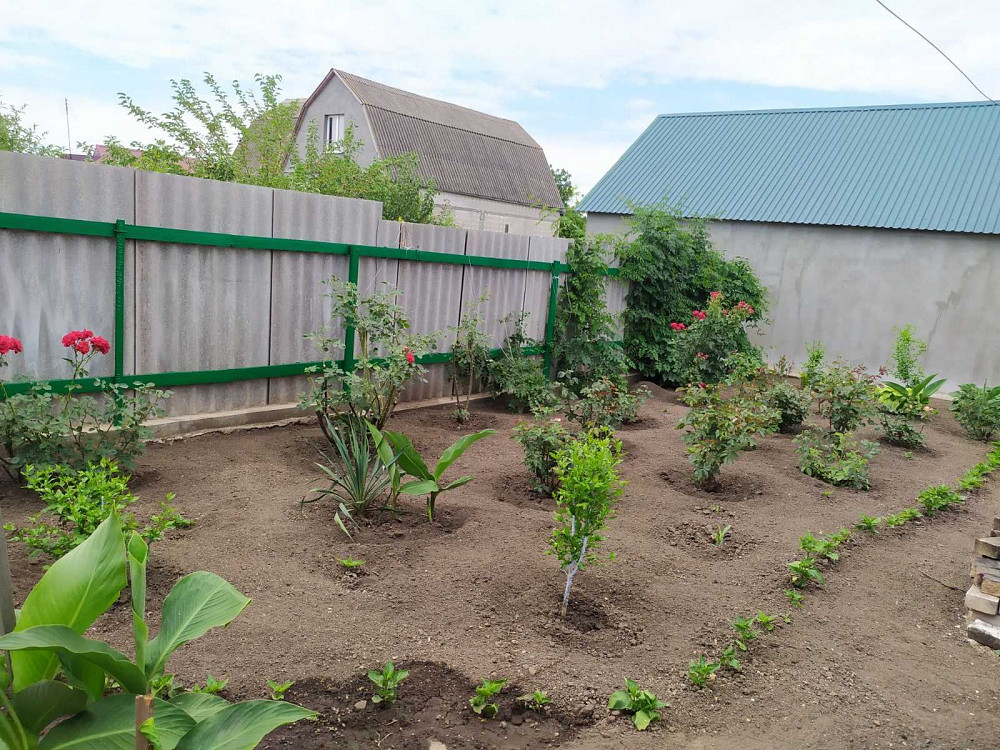 Дом усадьба в центре Августовки Августівка - фото 4