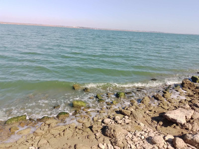 Продаж земельної ділянки 0.1 соток на ул. ул. Бузкова Долина (ДСТ "Витамин"), 28а Нерубайське - фото 4