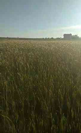 Продаж Квартира на улица озерна Винники