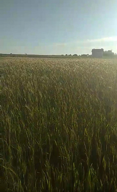 Продаж Квартира на улица озерна Винники - изображение 2