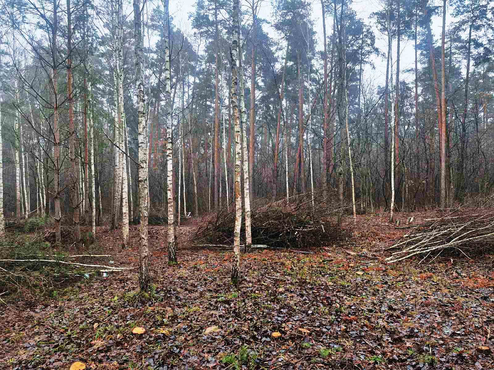 Продаж земельної ділянки 24 соток  - фото 6