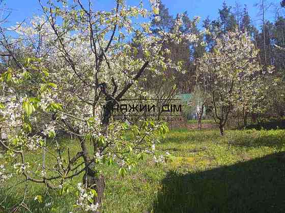 Продажа дачного домика в СТ Авиатор с. Николаевка Макаровский р-н. № 2210701 