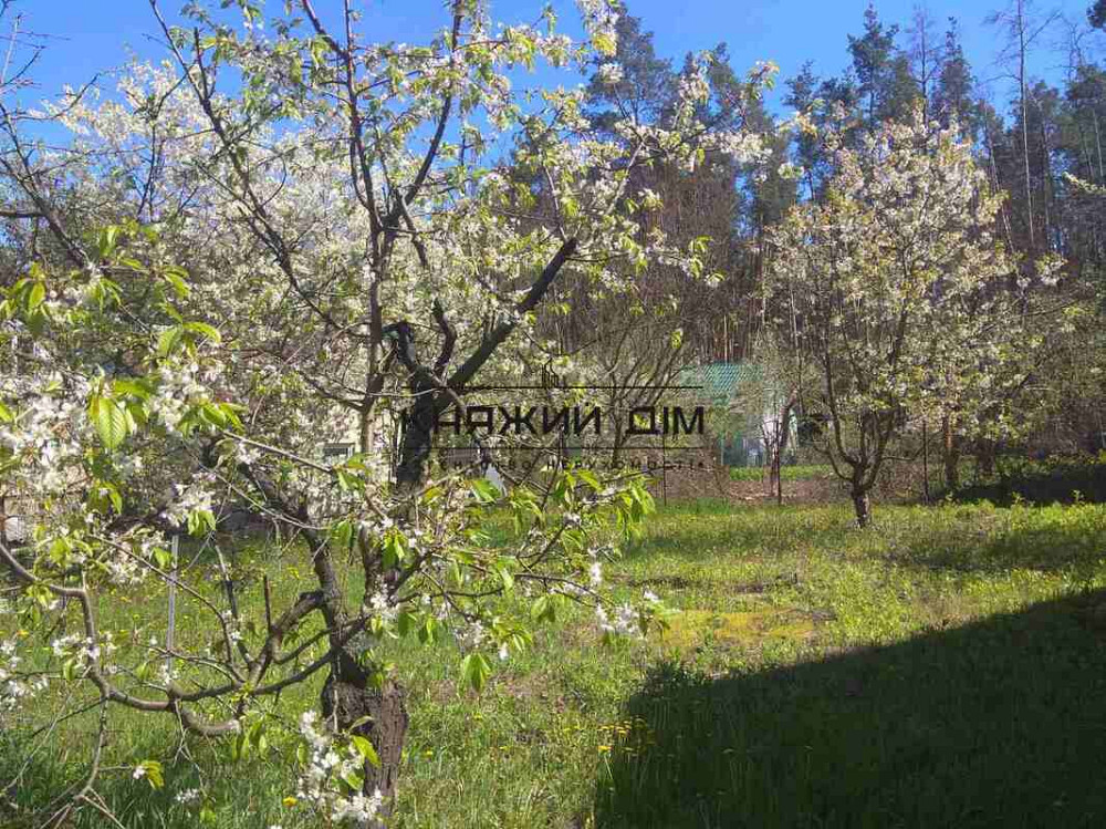 Продажа дачного домика в СТ Авиатор с. Николаевка Макаровский р-н. № 2210701  - фото 4